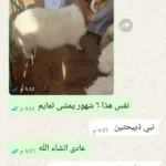 اراء_العملاء_في_قصاب_الكويت