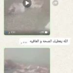 اراء_جوده_ذبايح_قصاب_الكويت